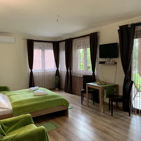 Guest house Cserkeszem Panzio *